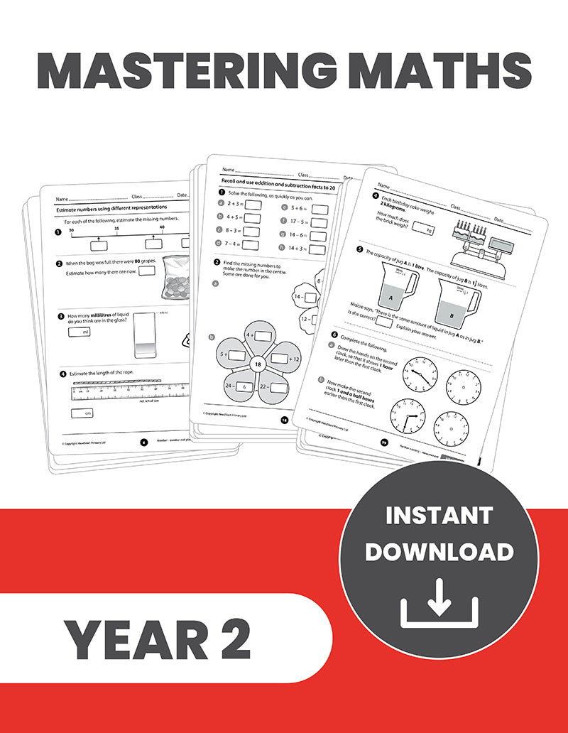 Year 2 Mastering the Maths Curriculum: INSTANT DOWNLOAD