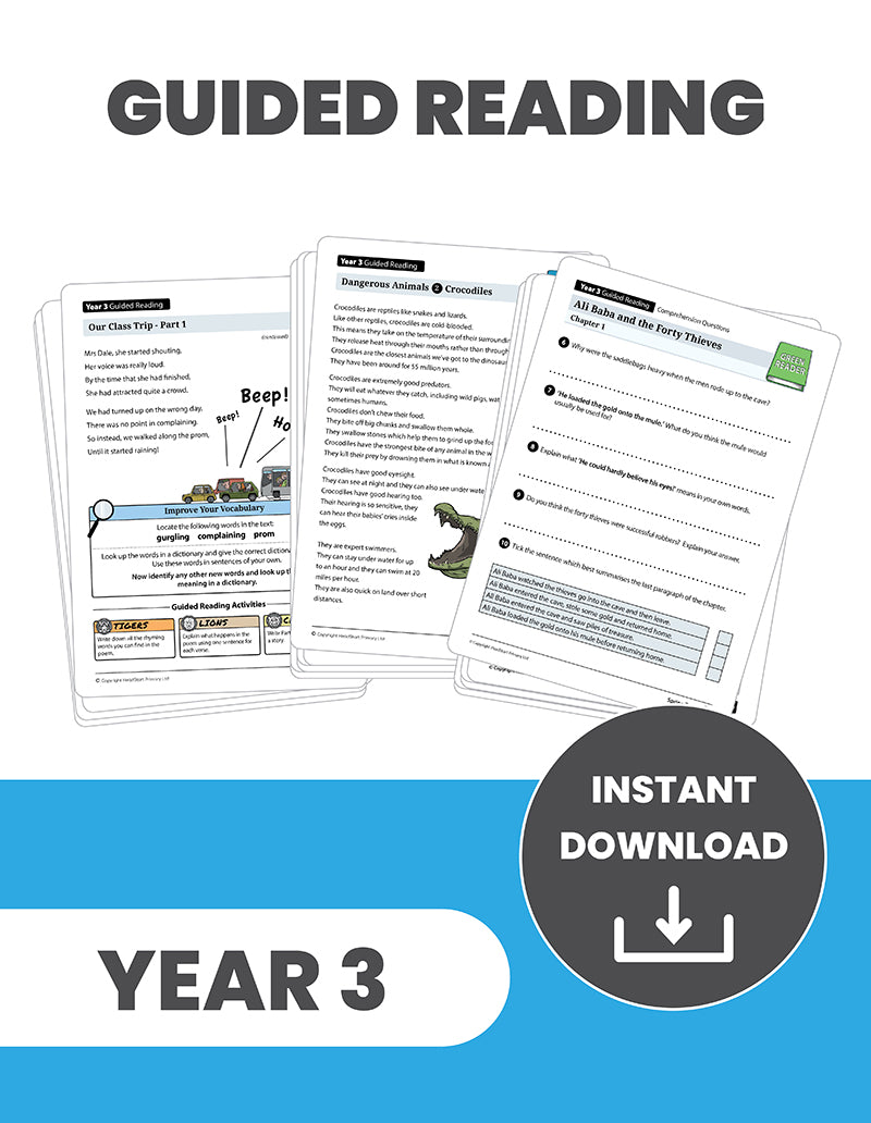 Year 3 Comprehension and Guided Reading: INSTANT DOWNLOAD