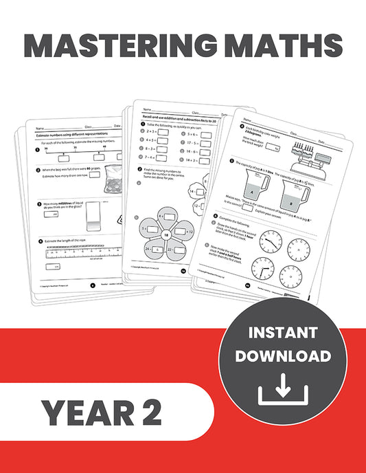 Year 2 Mastering the Maths Curriculum: INSTANT DOWNLOAD