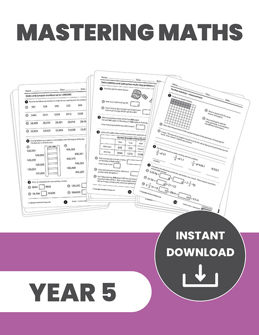 Year 5 Mastering the Maths Curriculum: INSTANT DOWNLOAD