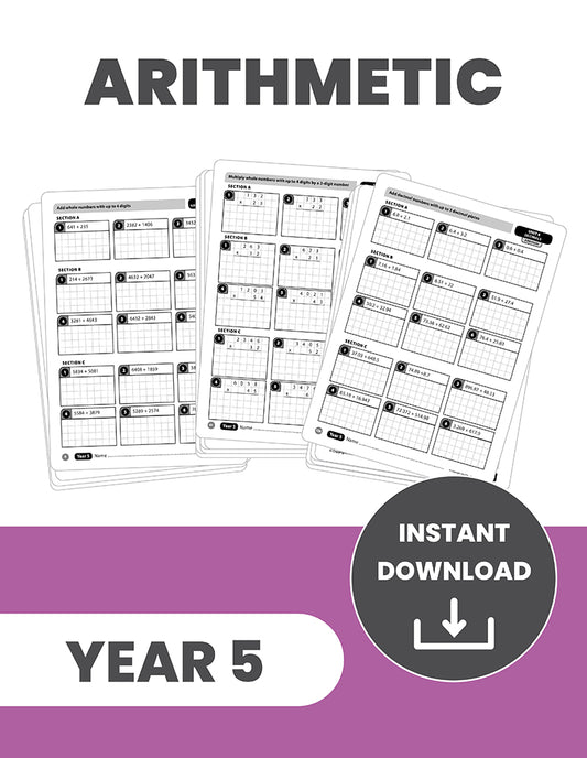 Year 5 Mastering the Arithmetic Curriculum: INSTANT DOWNLOAD